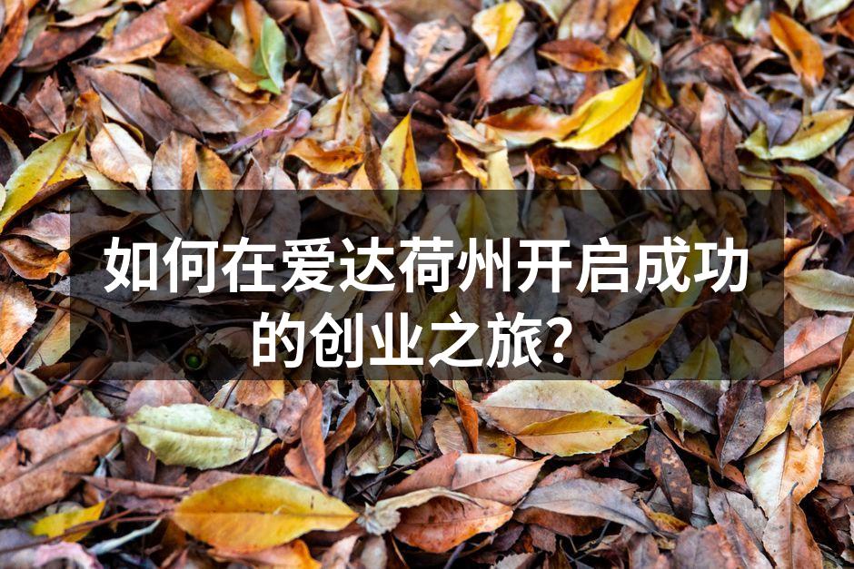 如何在爱达荷州开启成功的创业之旅？