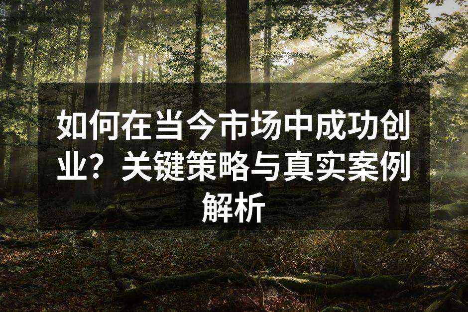 如何在当今市场中成功创业？关键策略与真实案例解析
